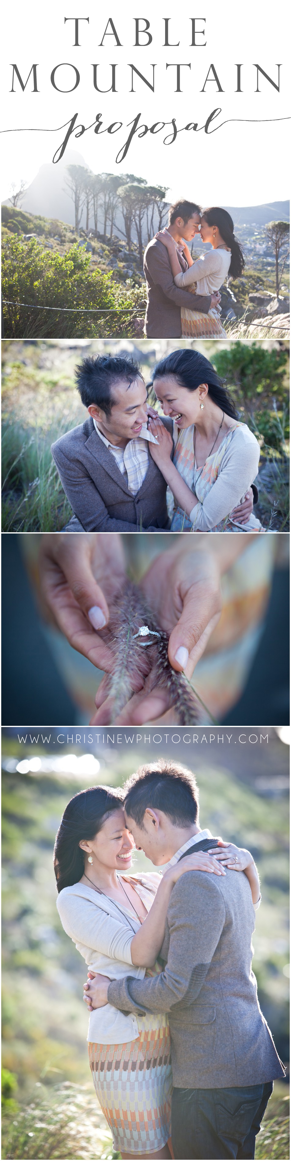 TableMountainProposal