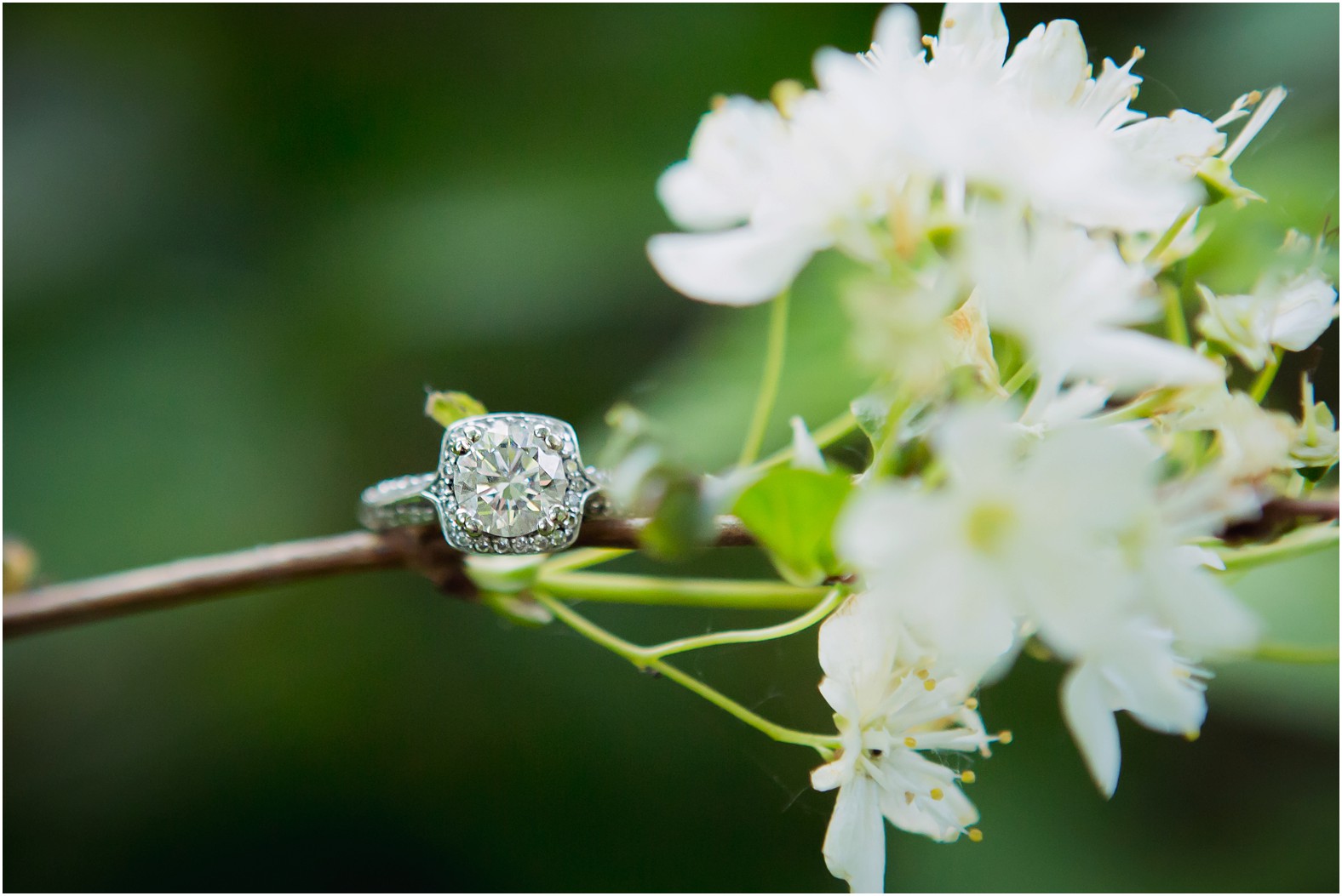 Toronto Engagement Session_0004