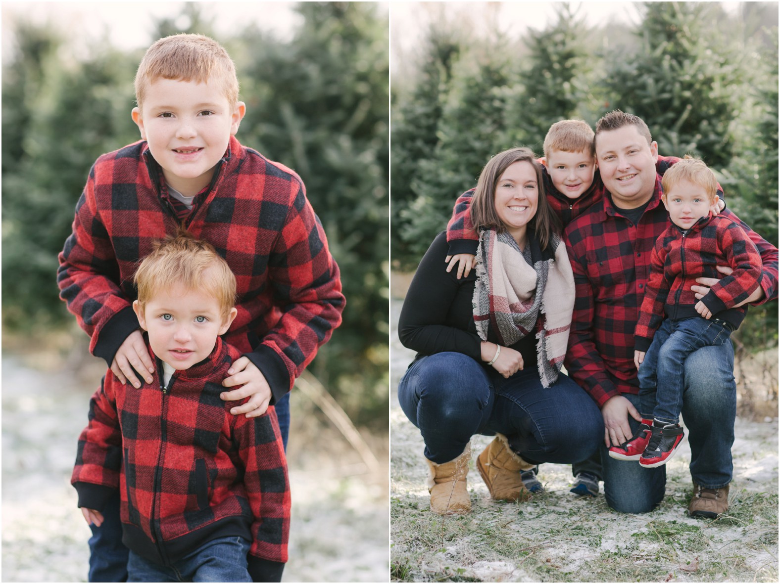 christmastreefarmfamilyphotos