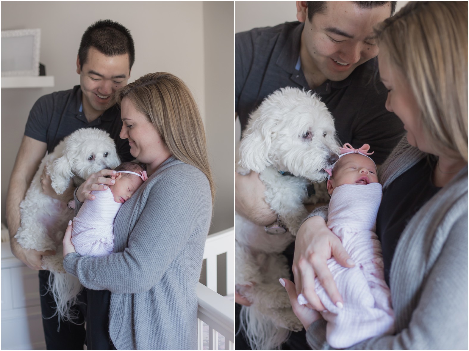 Newborn photography with pets 