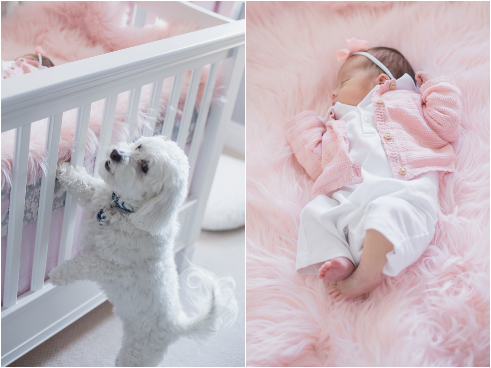 Baby girl newborn photography
